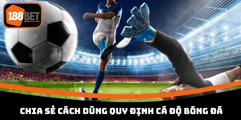 luat ca cuoc bong da chia se cach dung Chia sẻ cách dùng quy định cá độ bóng đá