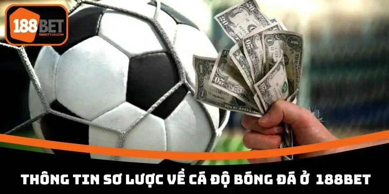 luat ca cuoc bong da thong tin so luoc Thông tin sơ lược về cá độ bóng đá ở link vào 188BET