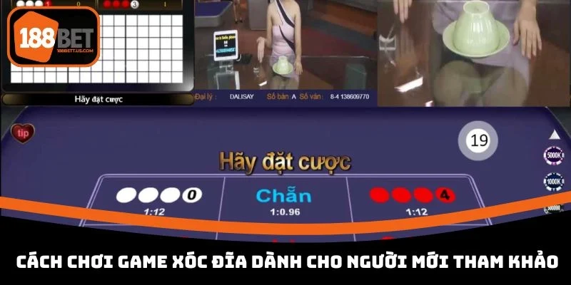 xoc dia online 188bet cach choi co ban Cách chơi game xóc đĩa dành cho người mới tham khảo